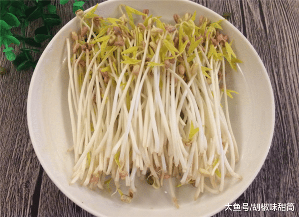 想吃豆芽自己发, 牢记“4点”技巧, 3天就能发好, 豆芽新鲜不发苦